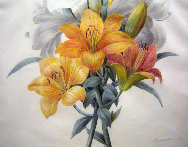 "Bouquet of Lilies", gouache on vellum, signed & dated 1836 Item ID 3179 – Bild 3