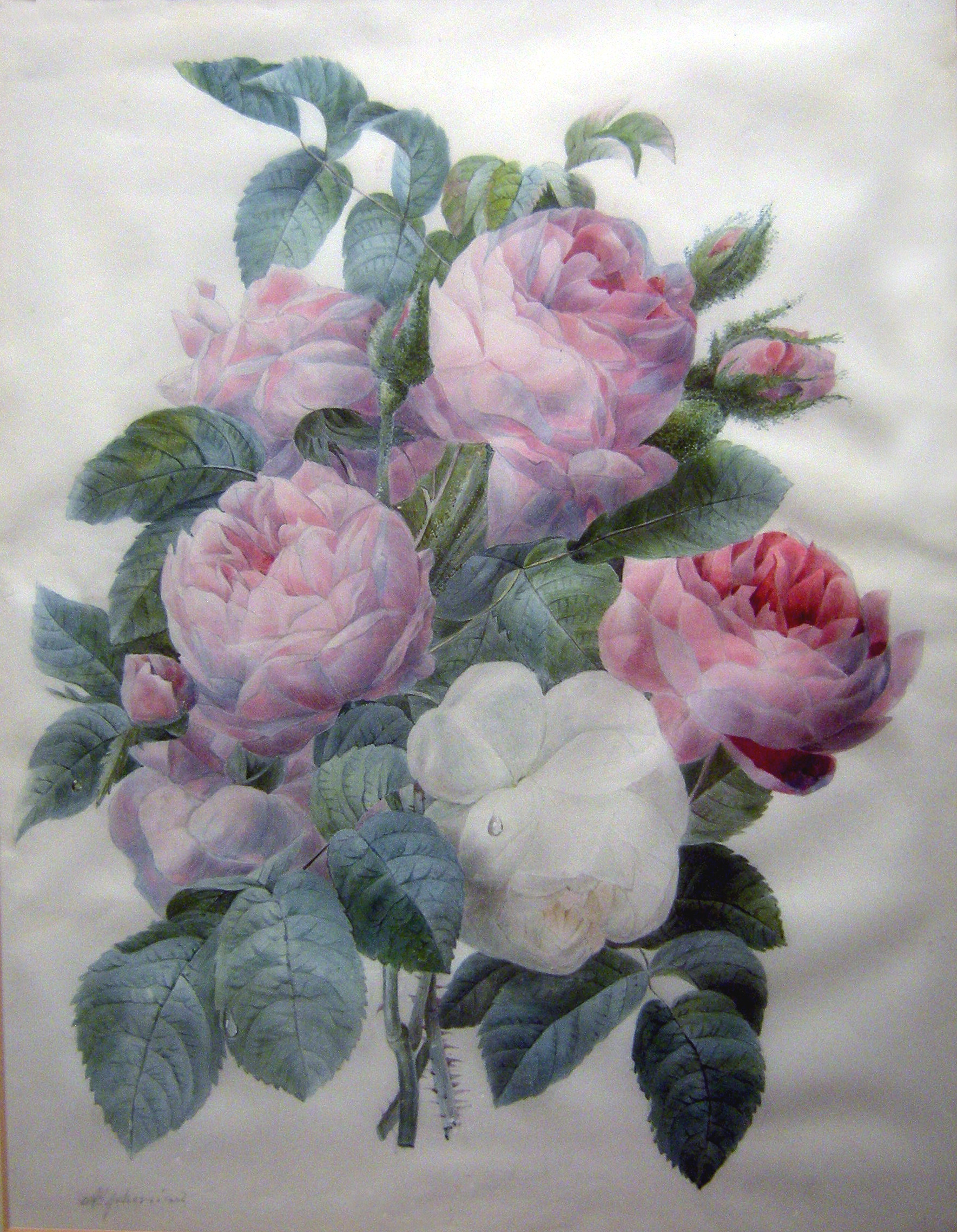 "Bouquet of roses", gouache on vellum, ca.1835-1840, signed Item ID 3176 – Bild 2