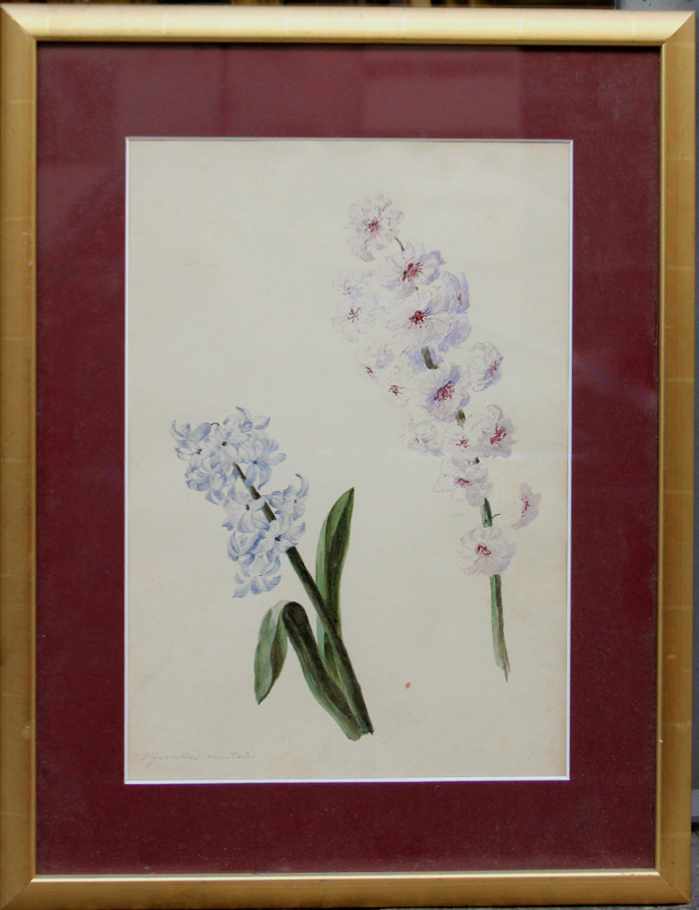 Works on Paper